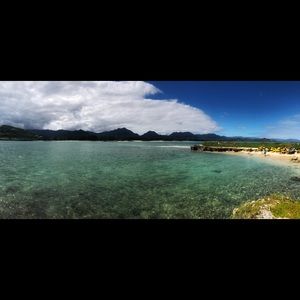 Meet your Posher, Ronny